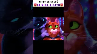 😍KITTY LE SALVÓ LA VIDA A GATO | Gato con botas 2