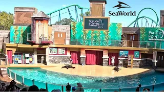 Sea Lion and Otter Spotlight Full 4k Show : Seaworld Orlando
