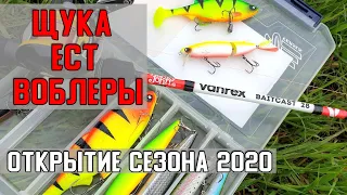 Щука весной ест воблеры! /Открытие сезона со спиннингом!