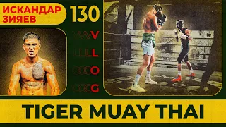 Tiger Muay Thai | Спарринг с чемпионом TOP DOG | Искандар Зияев | Сергей Воробьев.Путь к Чемпионству