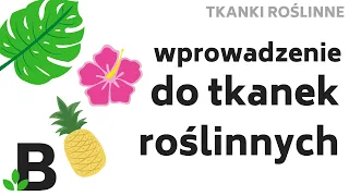 Tkanki Roślinne – Wprowadzenie do tkanek roślinnych #pektyny #plazmodesmy #protoplast – 372