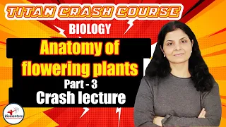 Biology l Anatomy of flowering plants Part 3 l Titan Crash Course l NEET
