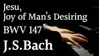 Jesu, Joy of Man’s Desiring / BWV 147 / J.S.Bach / Piano Transcr. by Kempff【4K / Hi-Res Audio】