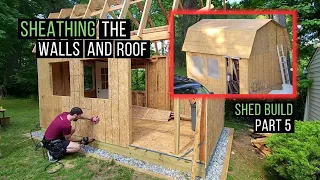 Sheathing a shed - walls and roof | Shed Build Part 5