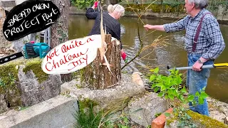 Not Quite a Chateau DIY 243 - Bread Oven Tower Project - Part 2 - The rest of the Tree gets the Chop