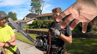The Most Legendary Tree Climber Chainsaw Ever Made