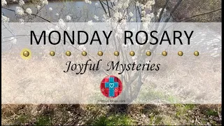 Monday Rosary • Joyful Mysteries of the Rosary 💙 April 22, 2024 VIRTUAL ROSARY - MEDITATION