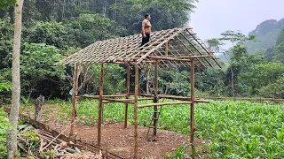 Completing the Roof Frame - Woman Alone Builds a Wooden House in the Forest - Log Cabin build