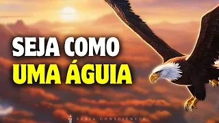 5 ENSINAMENTOS que a ÁGUIA nos ensina | Lições Poderosas