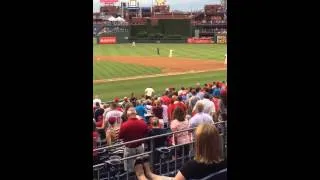 Squirrel dive bombs MLB dugout mid-game