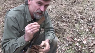 Metal Detecting An Old Home Deep In The Woods: Instructional Video