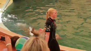 Турция аквапарк Троя дельфинарий -2