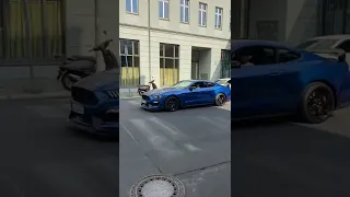 Ford Mustang amazing V8 sound