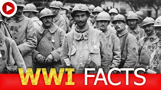 world war 1 facts and information that will shock you!