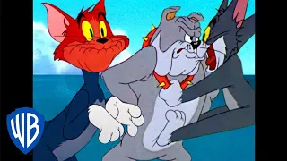 Tom y Jerry en Latino | Los gritos de Tom | WB Kids