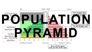 Population Pyramid of India - Growth, Disitribution, Diversity