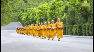 Alms Round - A Beautiful Tradition Of Buddhism | Ba Vang Pagoda Vietnam