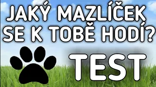 TEST - Jaký domácí mazlíček se k tobě hodí