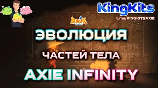 Axie Infinity - Эволюция частей тела