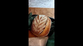 И снова пеку хлеб на спелом тесте | Bread on fermented dough (as a preferment)