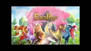 Обзор игры для телефонов "Ever run"