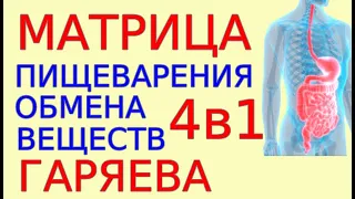 Матрица Гаряева Органы пищеварения программа№4 Обмен веществ Медитация2 формулы ЖКТ 4в1 НОВАЯ версия