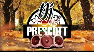 DJ Prescott  -   Whole Again