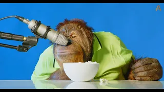 Animalia's Orangutan Prince eating ASMR