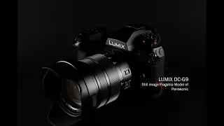 [カメラ]LUMIX G9買っちゃったので軽くレビューします![Panasonic][マイクロフォーサーズ]