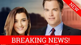 NCIS Breaks From The Franchise’s 15-Year Spinoff Tradition With NCIS: Origins And NCIS: Tony & Ziva!