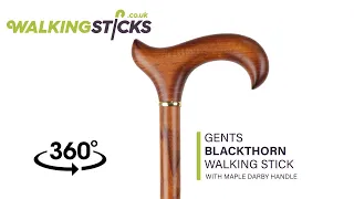 Gents Blackthorn Walking Stick with Maple Derby Handle