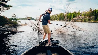 I found the MAGIC TREE! Fishing for BIG Spring Crappies