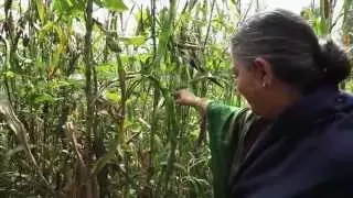 A Z Agroecology & Organic Food Systems