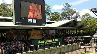 Troy Cassar-Daley At Australia Zoo Steve Irwin Day 2017