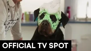 SHOW DOGS | VOX POP TV SPOT