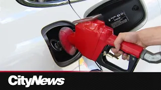 Business Report: GTA gas prices set to soar