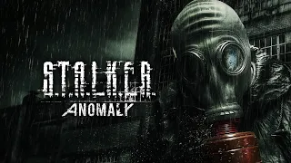 Это ЛУЧШЕЕ, что могло случиться со Сталкером! ► S.T.A.L.K.E.R.: Anomaly