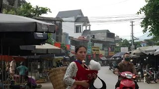 Harvesting Bitter Melon for Sale in Town | The Real Life of a 17 Year Old Single Mother