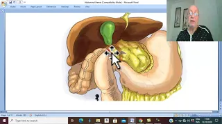 Hernia in Arabic 1 ( Abdominal Hernia ) , by  Dr.Wahdan