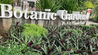 Singapore Botanic Gardens  Tour || Exploring Singapore Botanic Gardens