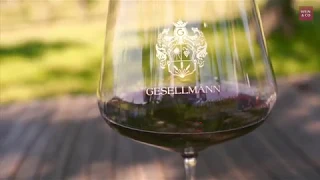 Weingut Gesellmann - Winzer des  Monats Oktober 2019