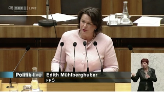 Edith Mühlberghuber - Geburtshilfe in jedem Krankenhaus - 31.1.2017