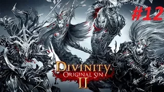 Прохождение. Divinity: Original Sin 2. Похождения по кораблю. #12