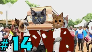 Coffin Dance Meme: Dog and Cat Meme Compilation 2021 #14