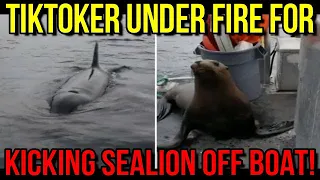 Woman Pushes Sea Lion Off Boat Into Orca Infested Water Then Drives Over Them