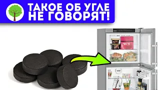 Вот на что реально способен уголь! Очищение кожи, кишечника и даже…