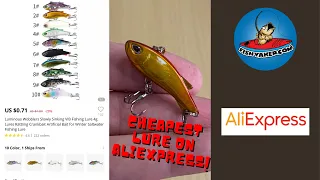 Cheapest Fishing Lure on Aliexpress! #shorts