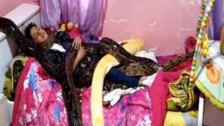 Giant Snakes Live with The Boy In His Room And Sleep Under His Bed