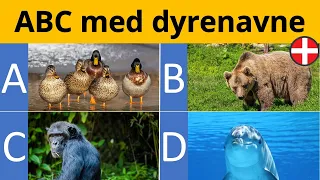 ABC for børn | ABC med dyrenavne | Det danske alfabet