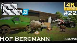 Sell goat cheese, duck eggs and wool | Hof Bergmann |Timelapse|#22|Farming Simulator 22|LS22|FS22